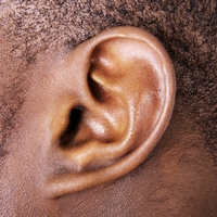 ear