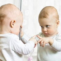 mirror