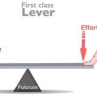 fulcrum