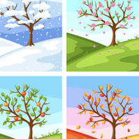 season