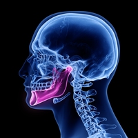 jaw