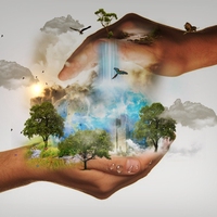 conserve