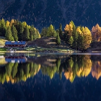 the law of reflection