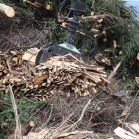 biomass