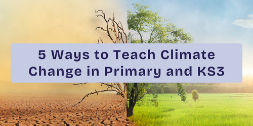 Climate Change Teaching: 5 Methods to use in Primary School and KS3