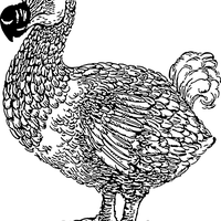 灭绝
