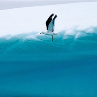 South Pole
