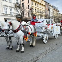 horse-drawn carriage