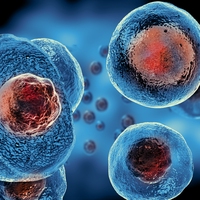 stem cell