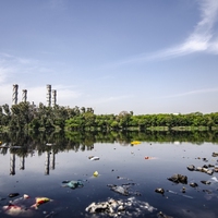 effluent