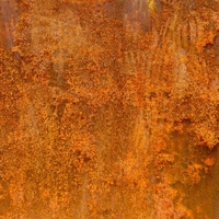 rusting