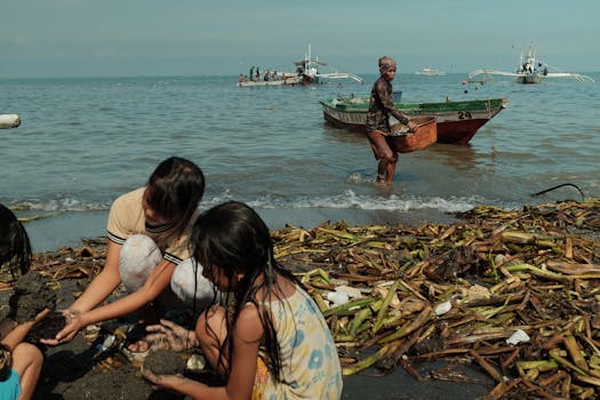 Humanities & Social Sciences