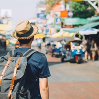 traveller