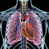 lung capacity