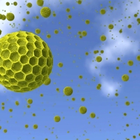 pollen