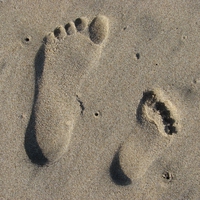 footprint