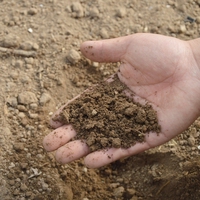 soil erosion