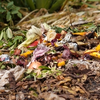 decomposition