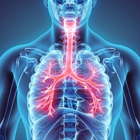 trachea
