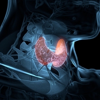 thyroid