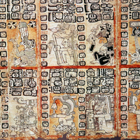 codices