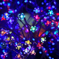 LED