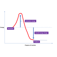 overall energy change