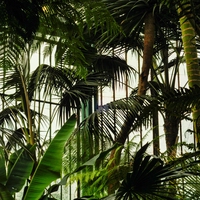 vegetation