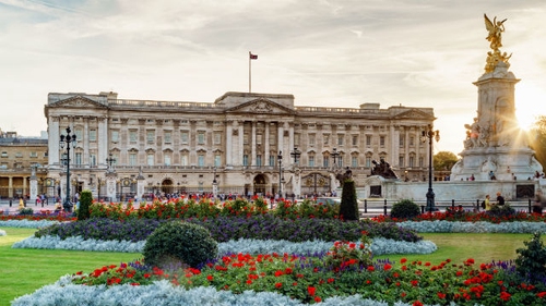 Developing Experts invited to Buckingham Palace
