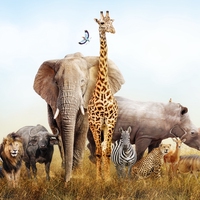biodiversity