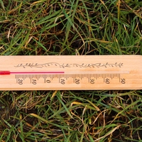 thermometer