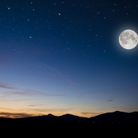 night