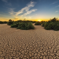 abiotic