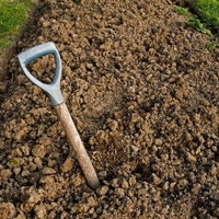 clay soil