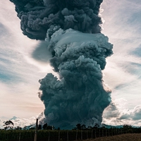 carbon dioxide (CO₂)