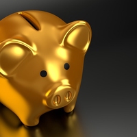 public finance
