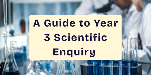 A Guide to Year 3 Scientific Enquiry 