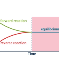 dynamic equilibrium