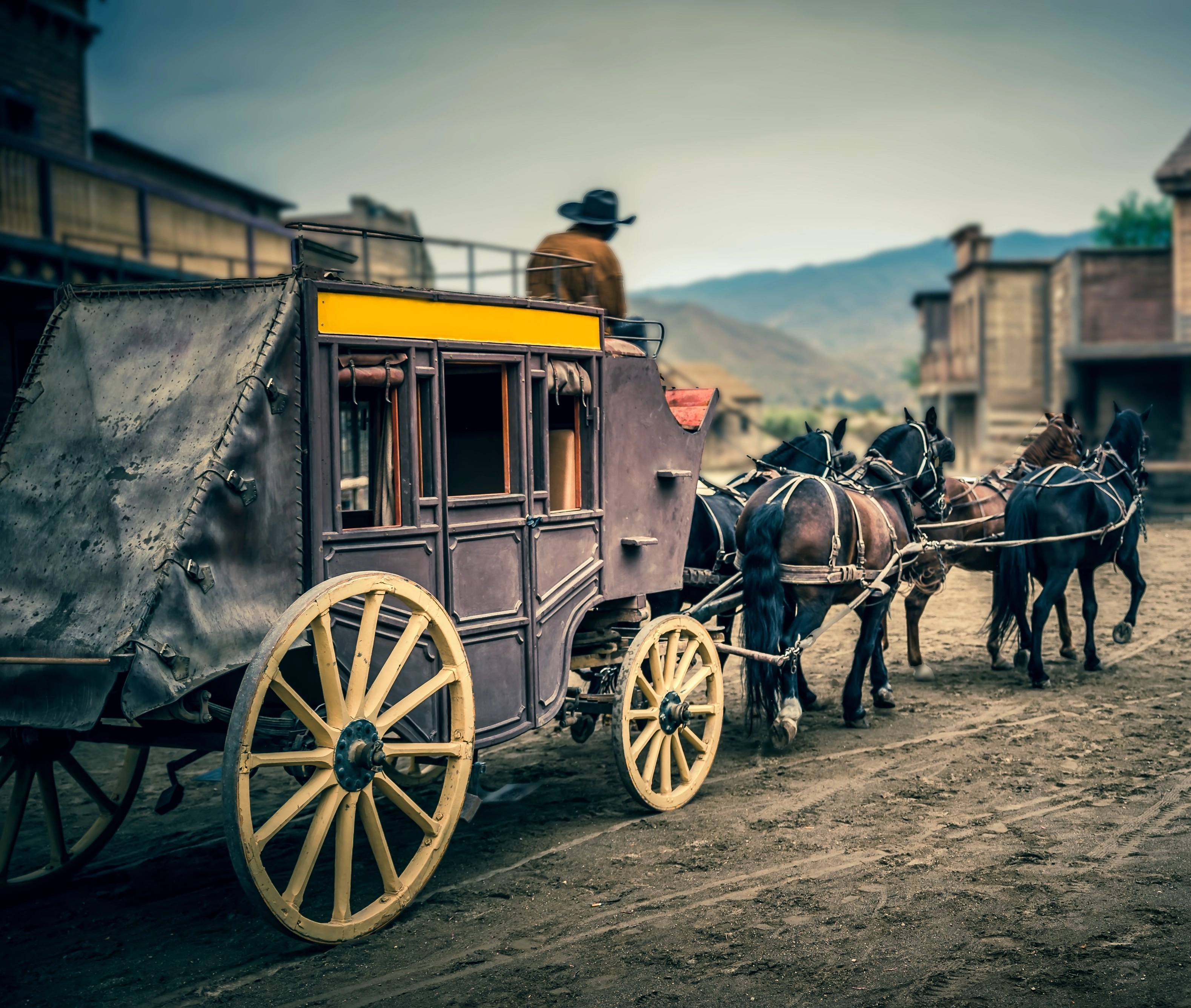 <p>horse and carriage&nbsp;</p>