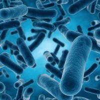 living organism