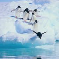 Antarctic