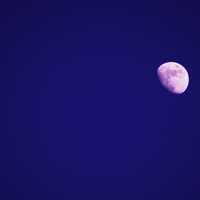 the Moon