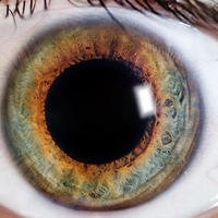 pupil