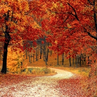 season