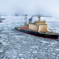 Arctic