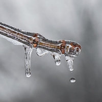 melting