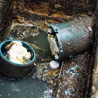 compost