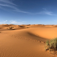 desert