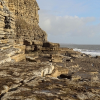Carboniferous Period