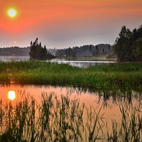 wetland